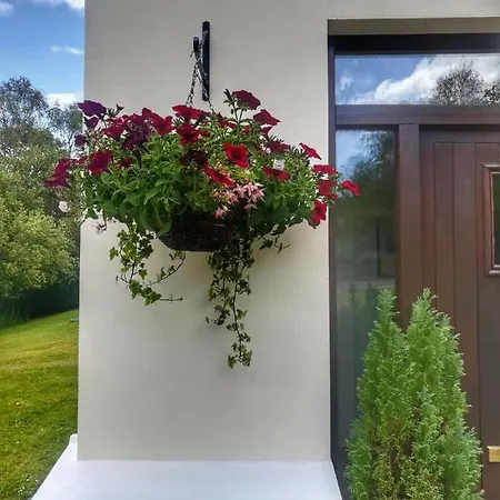 לינה וארוחת בוקר Two Eggs