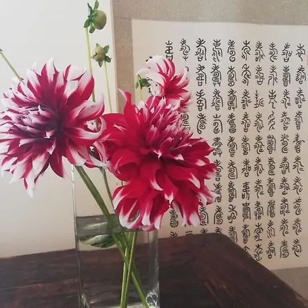 לינה וארוחת בוקר Two Eggs